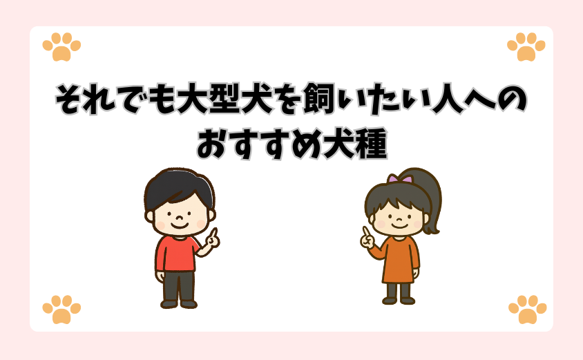 それでも大型犬を飼いたい人へのおすすめ犬種