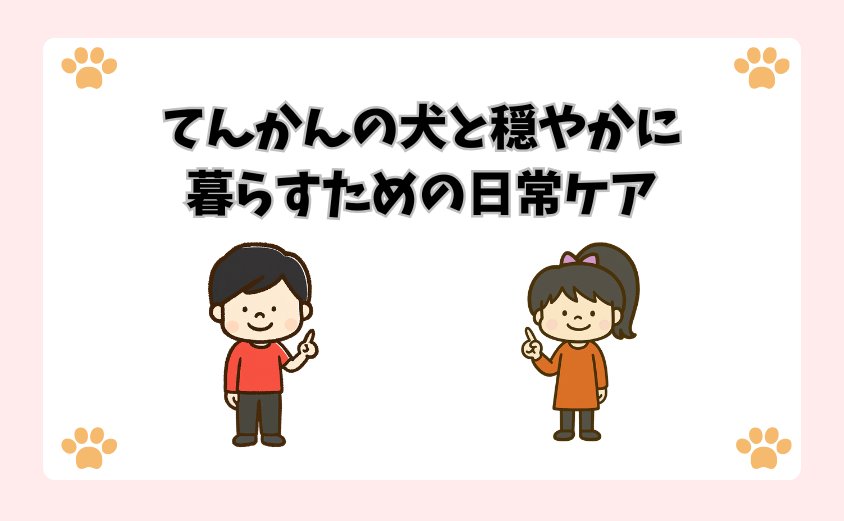 てんかんの犬と穏やかに暮らすための日常ケア