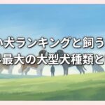 でかい犬ランキングと飼う覚悟！世界最大の大型犬種類と特徴