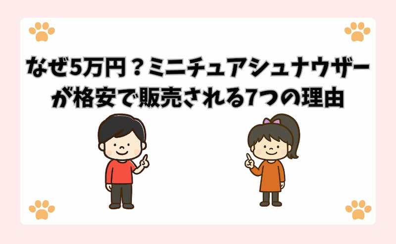 なぜ5万円？ミニチュアシュナウザーが格安で販売される7つの理由