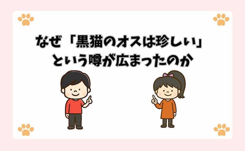 なぜ「黒猫のオスは珍しい」という噂が広まったのか