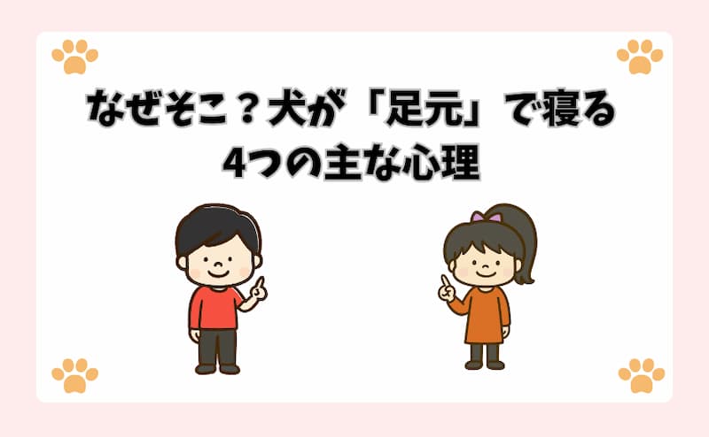 なぜそこ？犬が「足元」で寝る4つの主な心理
