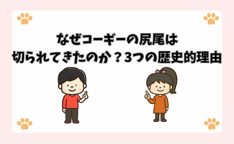 なぜコーギーの尻尾は切られてきたのか？3つの歴史的理由