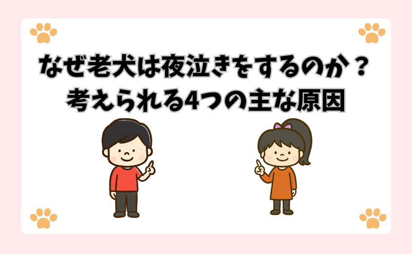 なぜ老犬は夜泣きをするのか？考えられる4つの主な原因