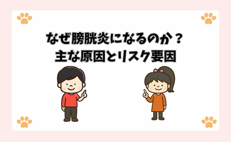 なぜ膀胱炎になるのか？主な原因とリスク要因