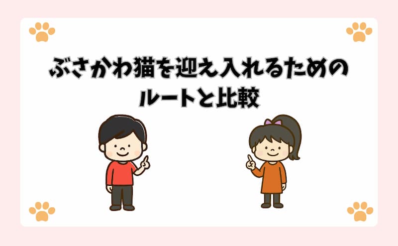 ぶさかわ猫を迎え入れるためのルートと比較
