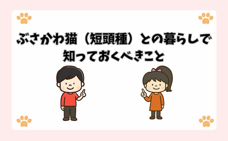 ぶさかわ猫（短頭種）との暮らしで知っておくべきこと