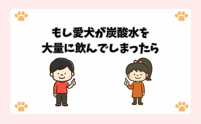 もし愛犬が炭酸水を大量に飲んでしまったら