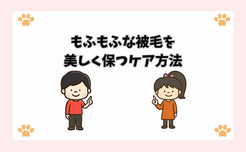 もふもふな被毛を美しく保つケア方法