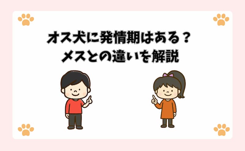 オス犬に発情期はある？メスとの違いを解説