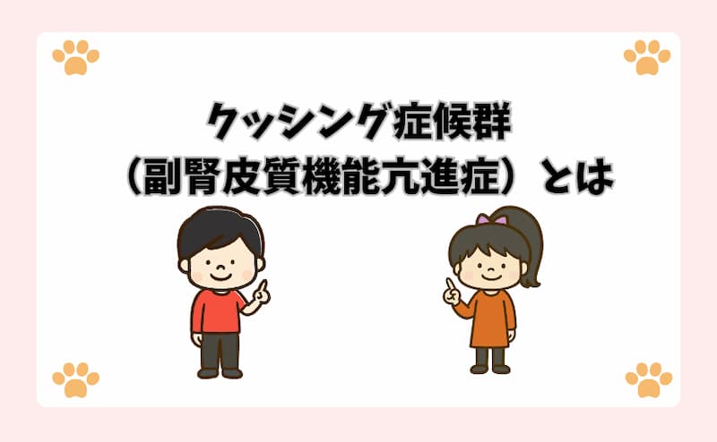クッシング症候群（副腎皮質機能亢進症）とは