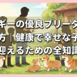 コーギーの優良ブリーダーの選び方｜健康で幸せな子犬を迎えるための全知識