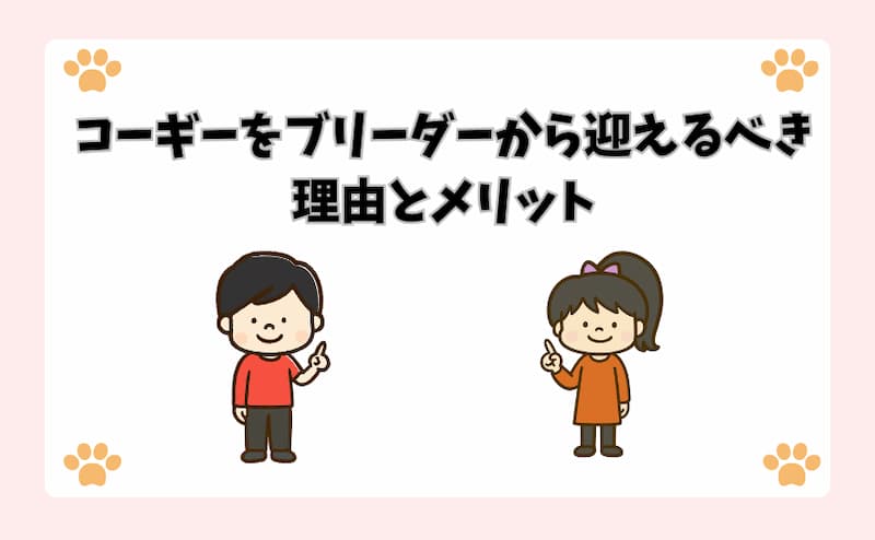 コーギーをブリーダーから迎えるべき理由とメリット
