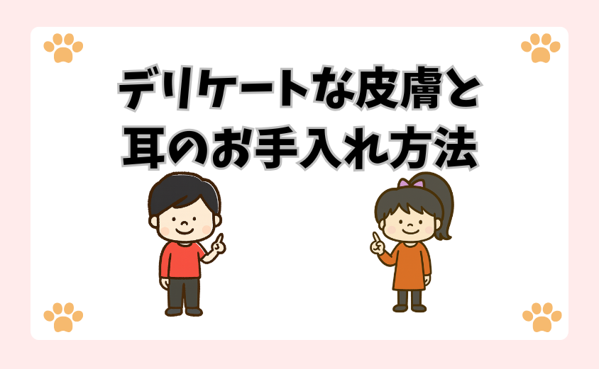 デリケートな皮膚と耳のお手入れ方法