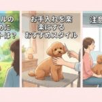 トイプードルのカットを短めにするメリットは？お手入れを楽にするおすすめスタイルと注意点を解説