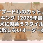 トイプードルのカット人気ランキング【2025年最新】愛犬に似合うスタイルと失敗しないオーダー術