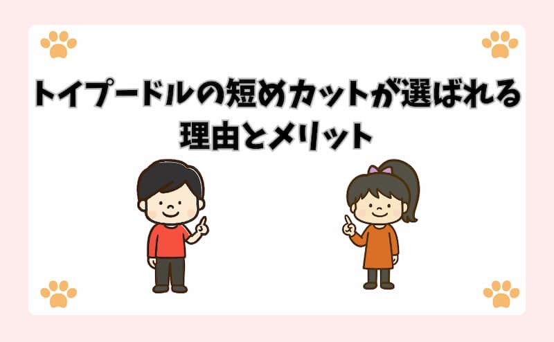 トイプードルの短めカットが選ばれる理由とメリット