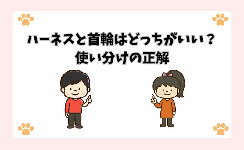 ハーネスと首輪はどっちがいい？使い分けの正解