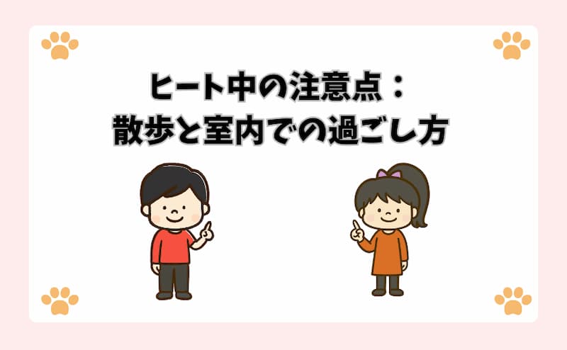 ヒート中の注意点：散歩と室内での過ごし方