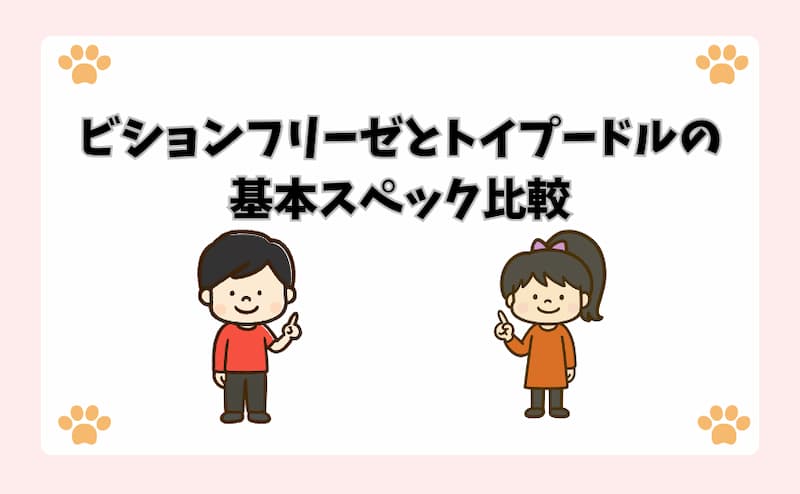 ビションフリーゼとトイプードルの基本スペック比較