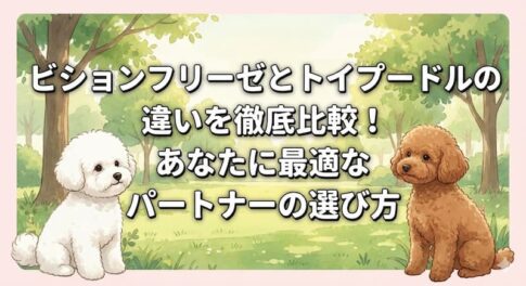 ビションフリーゼとトイプードルの違いを徹底比較！あなたに最適なパートナーの選び方