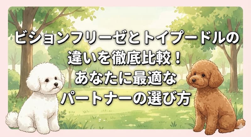 ビションフリーゼとトイプードルの違いを徹底比較！あなたに最適なパートナーの選び方