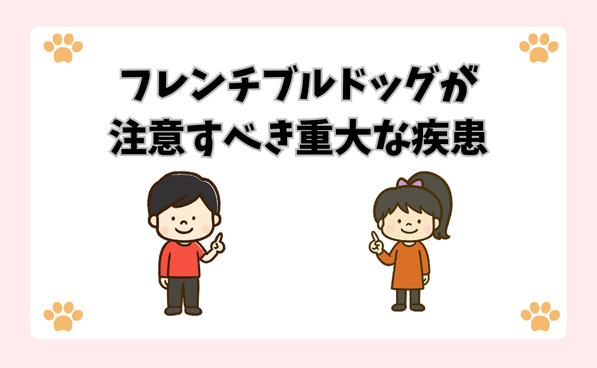 フレンチブルドッグが注意すべき重大な疾患