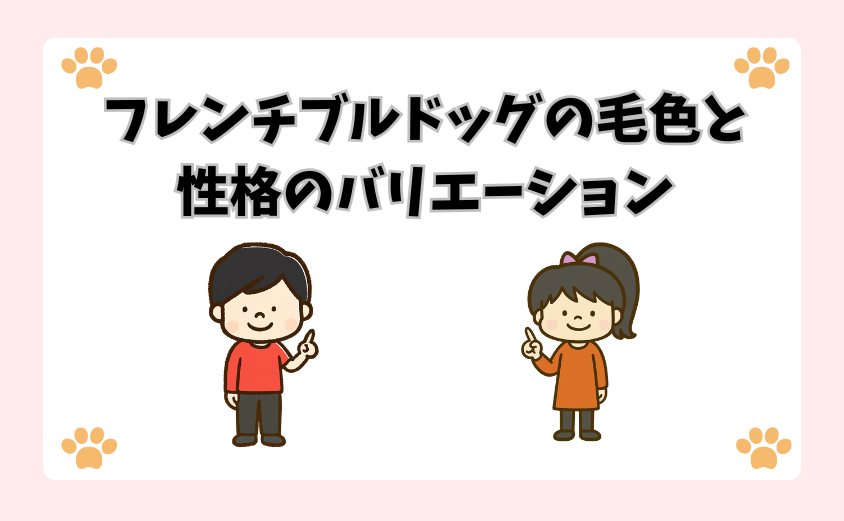 フレンチブルドッグの毛色と性格のバリエーション