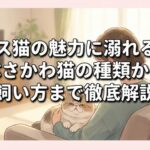 ブス猫の魅力に溺れる！ぶさかわ猫の種類から飼い方まで徹底解説