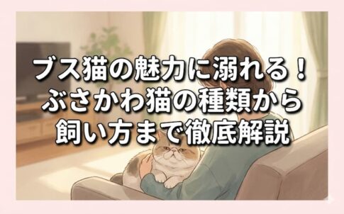 ブス猫の魅力に溺れる！ぶさかわ猫の種類から飼い方まで徹底解説