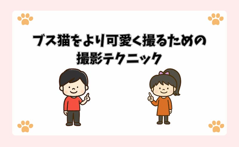 ブス猫をより可愛く撮るための撮影テクニック