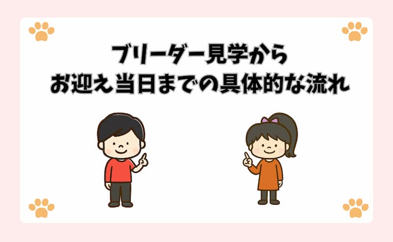 ブリーダー見学からお迎え当日までの具体的な流れ