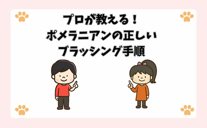 プロが教える！ポメラニアンの正しいブラッシング手順