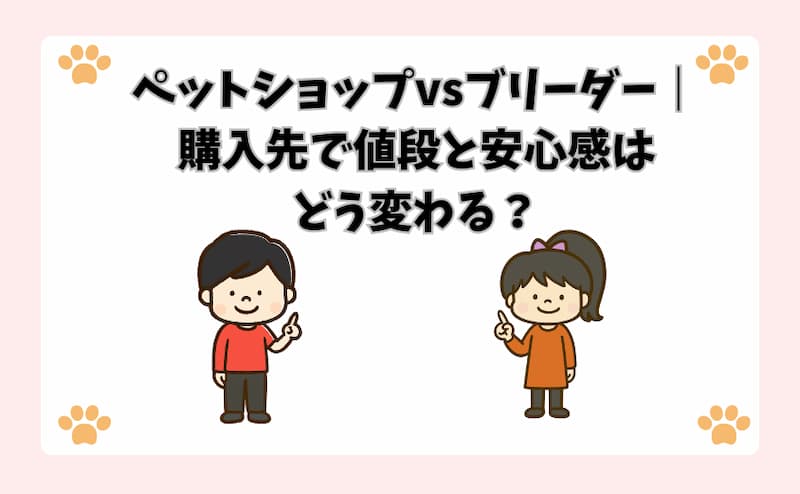 ペットショップvsブリーダー｜購入先で値段と安心感はどう変わる？