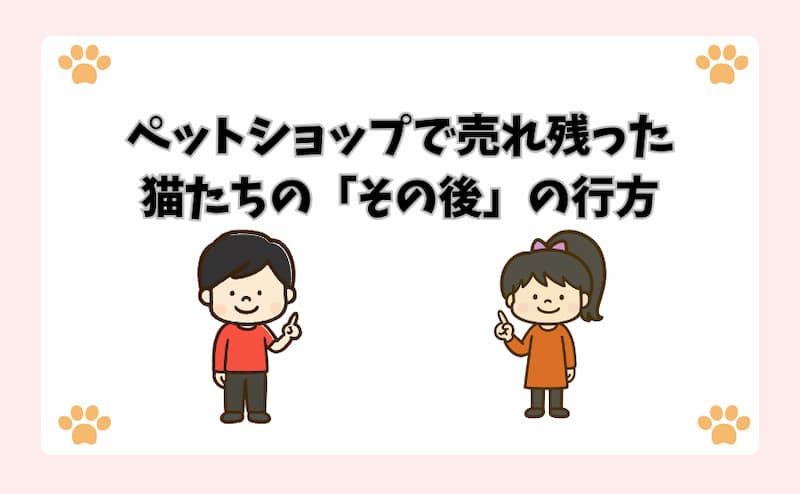 ペットショップで売れ残った猫たちの「その後」の行方