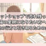 ペットショップで売れ残った猫の里親になりたい方へ｜その後の行方と引き取るための全手順