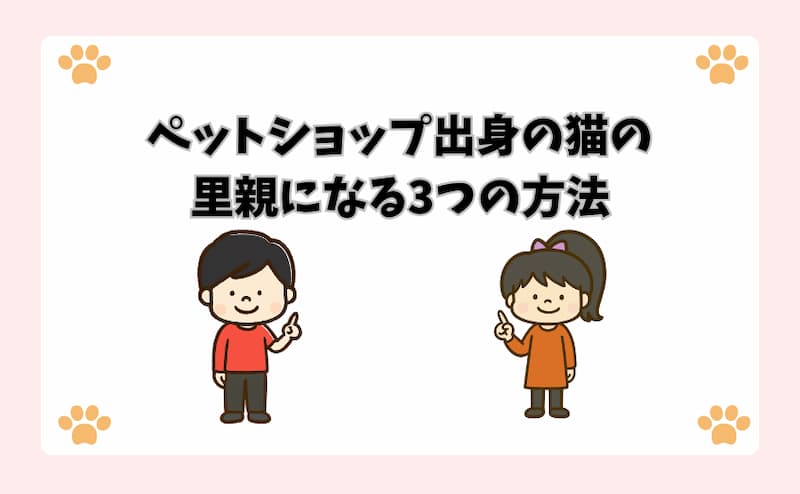 ペットショップ出身の猫の里親になる3つの方法