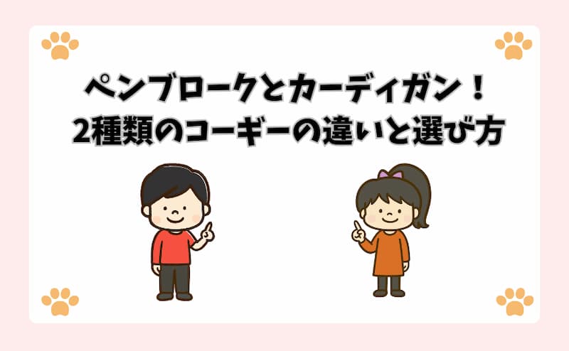ペンブロークとカーディガン！2種類のコーギーの違いと選び方