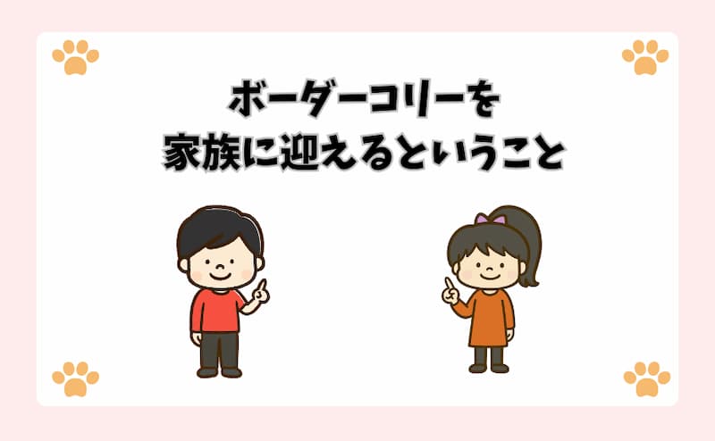 ボーダーコリーを家族に迎えるということ