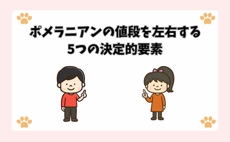 ポメラニアンの値段を左右する5つの決定的要素