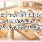 ポメラニアンの値段相場はいくら？お迎え費用から生涯コスト、安すぎる子の注意点まで徹底解説
