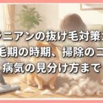 ポメラニアンの抜け毛対策ガイド｜換毛期の時期、掃除のコツ、病気の見分け方まで