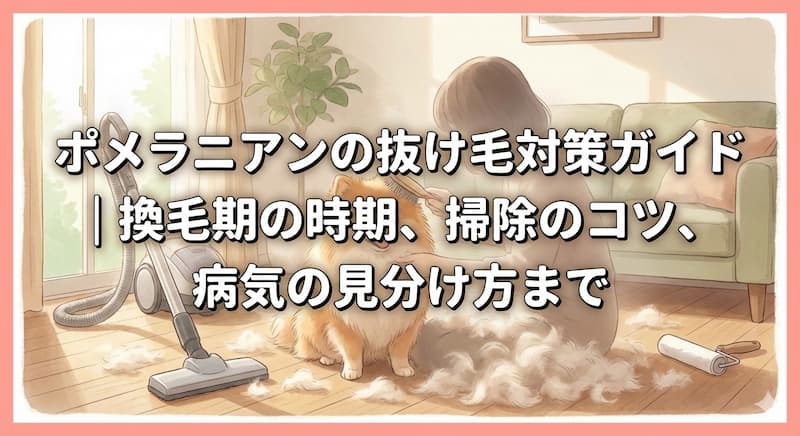 ポメラニアンの抜け毛対策ガイド｜換毛期の時期、掃除のコツ、病気の見分け方まで