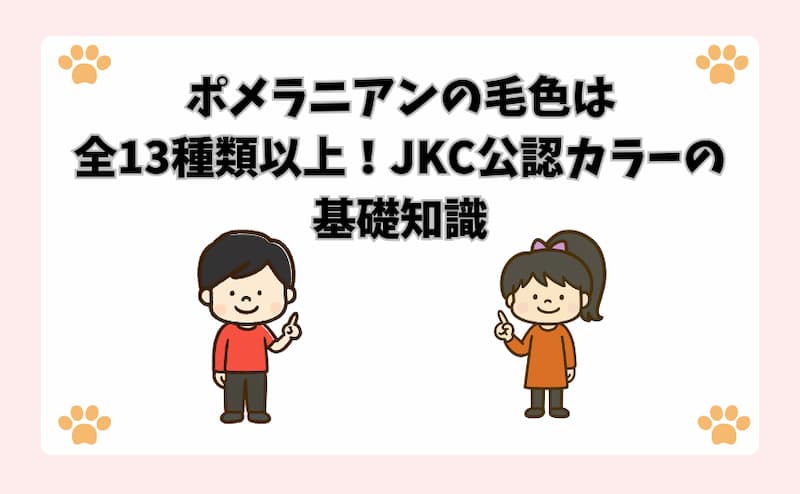 ポメラニアンの毛色は全13種類以上！JKC公認カラーの基礎知識