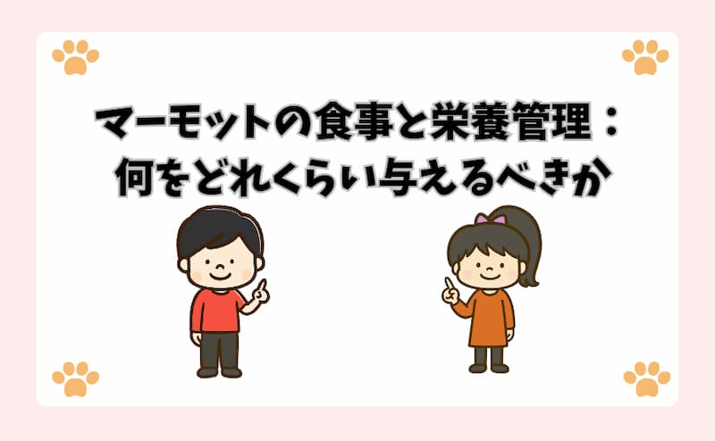 マーモットの食事と栄養管理：何をどれくらい与えるべきか
