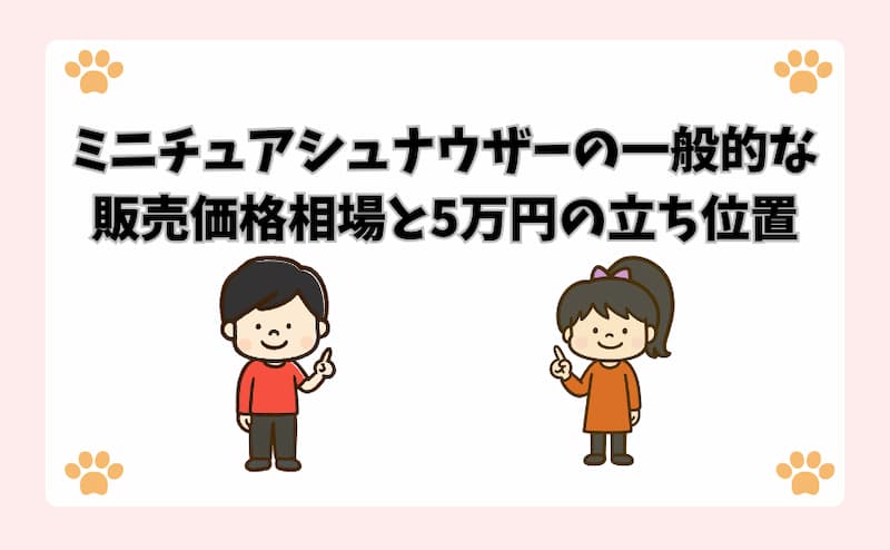 ミニチュアシュナウザーの一般的な販売価格相場と5万円の立ち位置