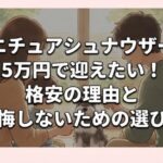 ミニチュアシュナウザーを5万円で迎えたい！格安の理由と後悔しないための選び方