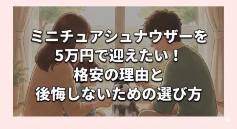 ミニチュアシュナウザーを5万円で迎えたい！格安の理由と後悔しないための選び方