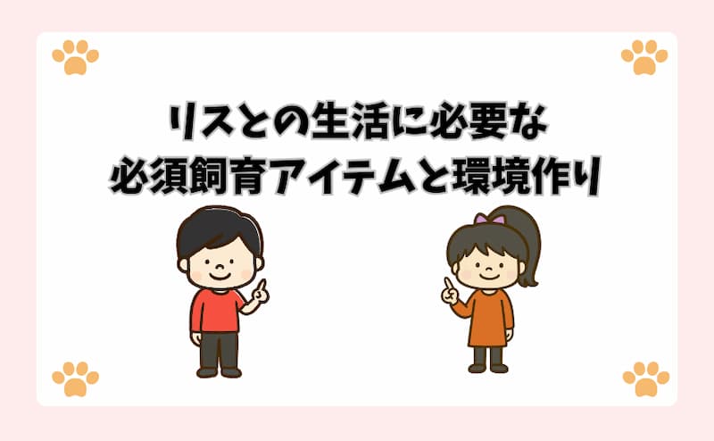 リスとの生活に必要な必須飼育アイテムと環境作り