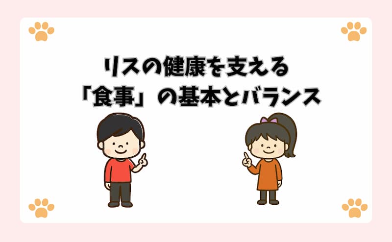 リスの健康を支える「食事」の基本とバランス